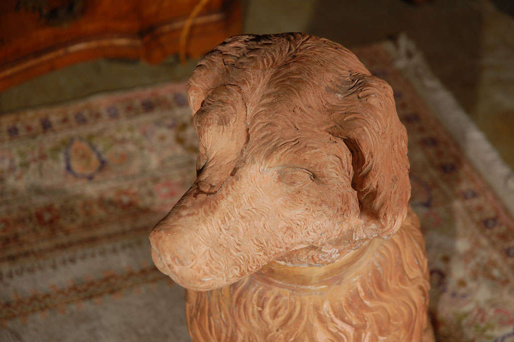 Life Size, 19th Century, Terracotta Poodles In Good Condition For Sale In Newport Beach, CA