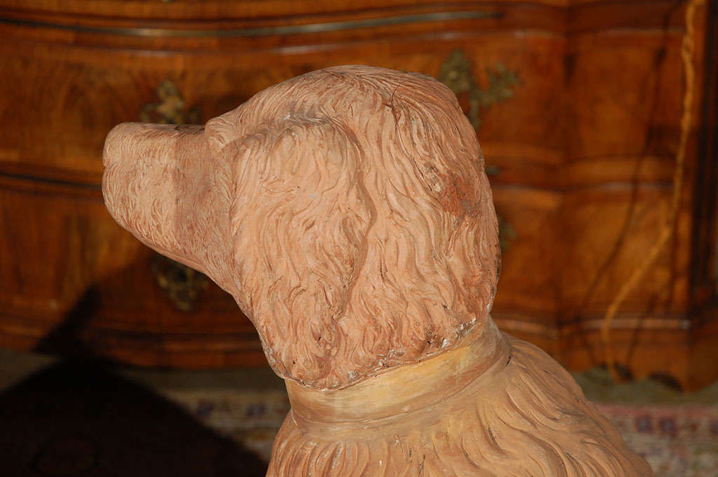Life Size, 19th Century, Terracotta Poodles For Sale 2