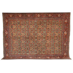 Persian Sultanabad Carpet Circa 1880 in Handspun Wool and Vegetable Dyes 9