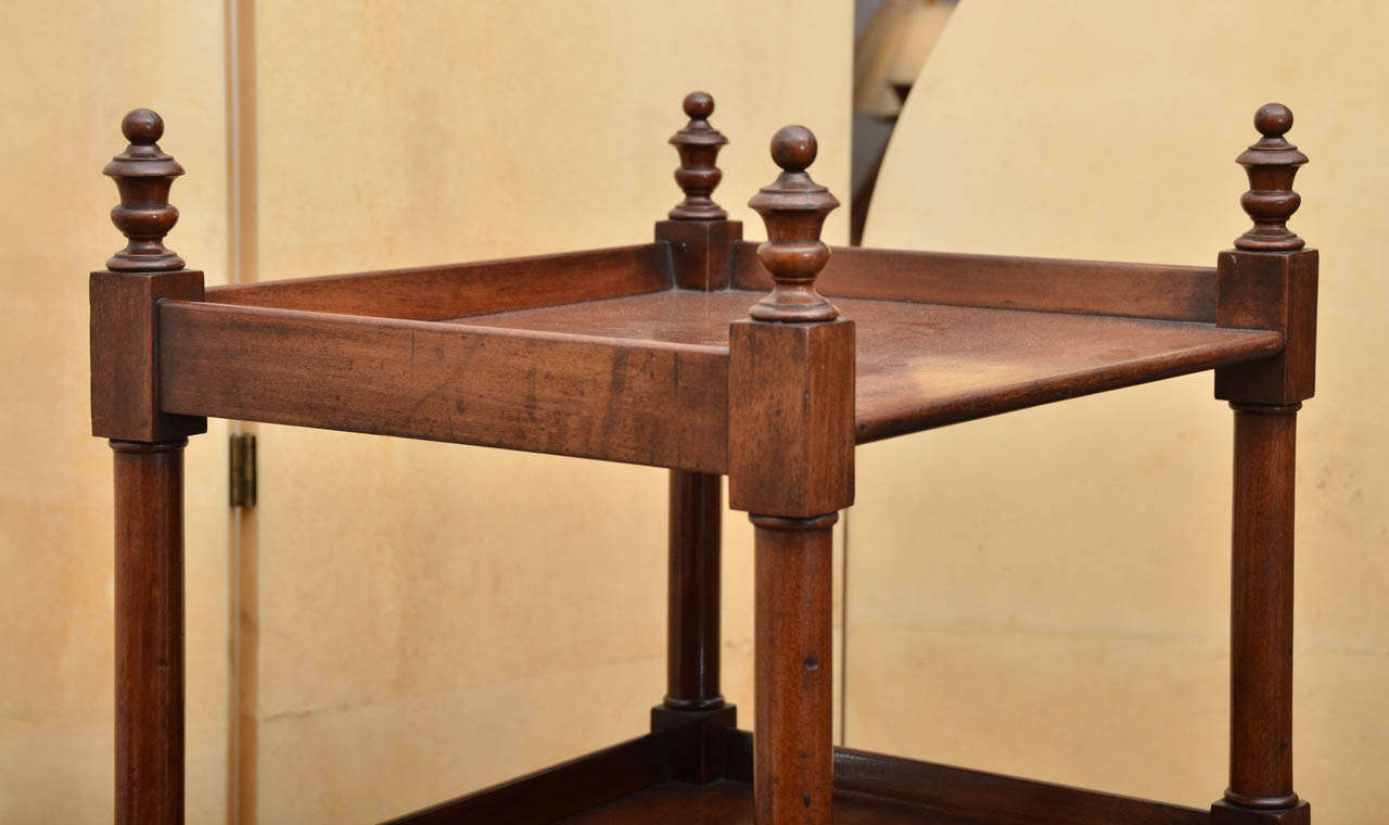 Early 19th Century Mahogany Étagère For Sale 3