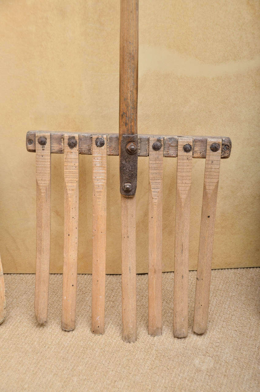 English 19th Century Suffolk Sycamore Brewery Tools