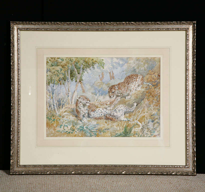 Charles Frederick Tunnicliffe OBE, RA. (1901-1979)
"Playful Leopards"
Watercolour
Signed
Unframed 25cms x 35cms

Charles Frederick Tunnicliffe was an internationally renowned naturalistic painter of British Birds and other wildlife.