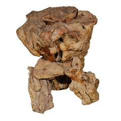 Fossilized Wooden Side Table