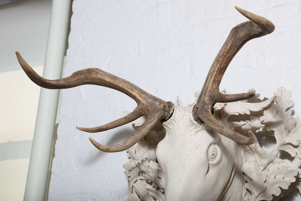 English Late 19th Century/Early 20th Century Victorian Deer Head Trophy For Sale