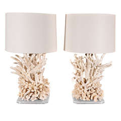 Pair of Coral Lamps