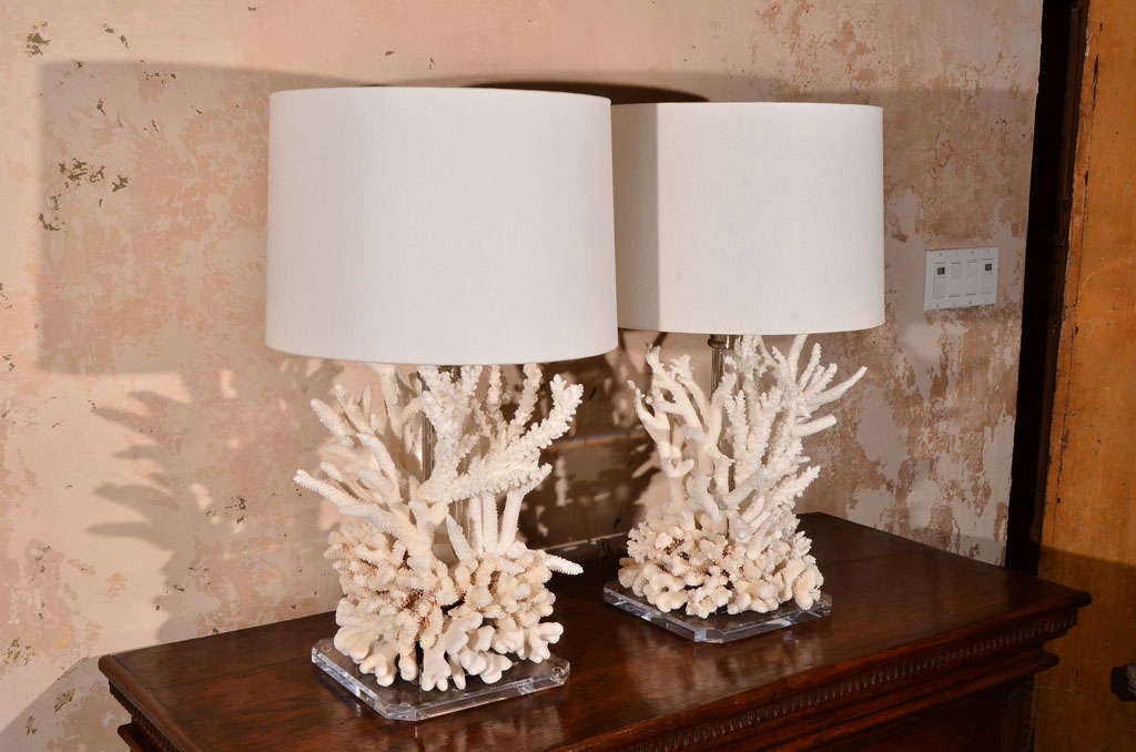 Pair of Coral Lamps at 1stDibs