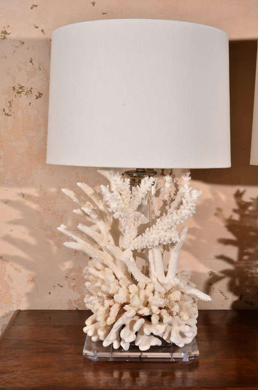 Pair of Coral Lamps at 1stDibs