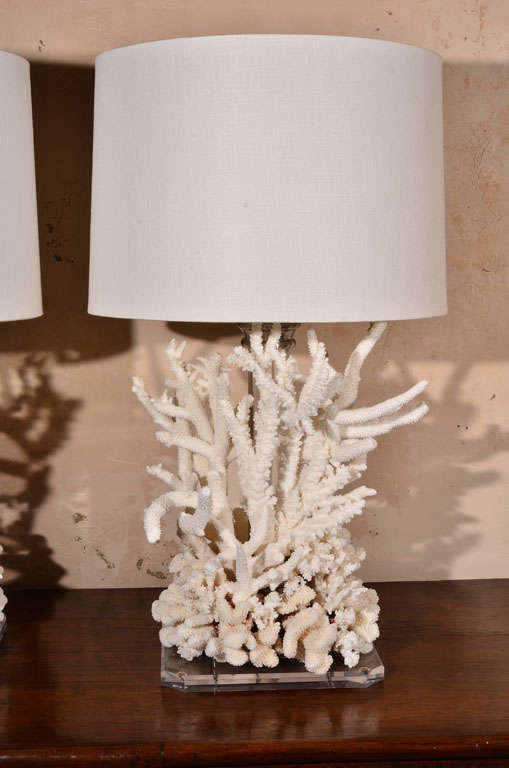 Pair of Coral Lamps at 1stDibs