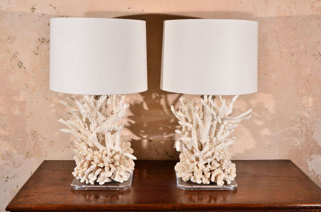 Pair of Coral Lamps at 1stdibs