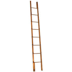 Used End of 19th Century Rare and High Library Ladder