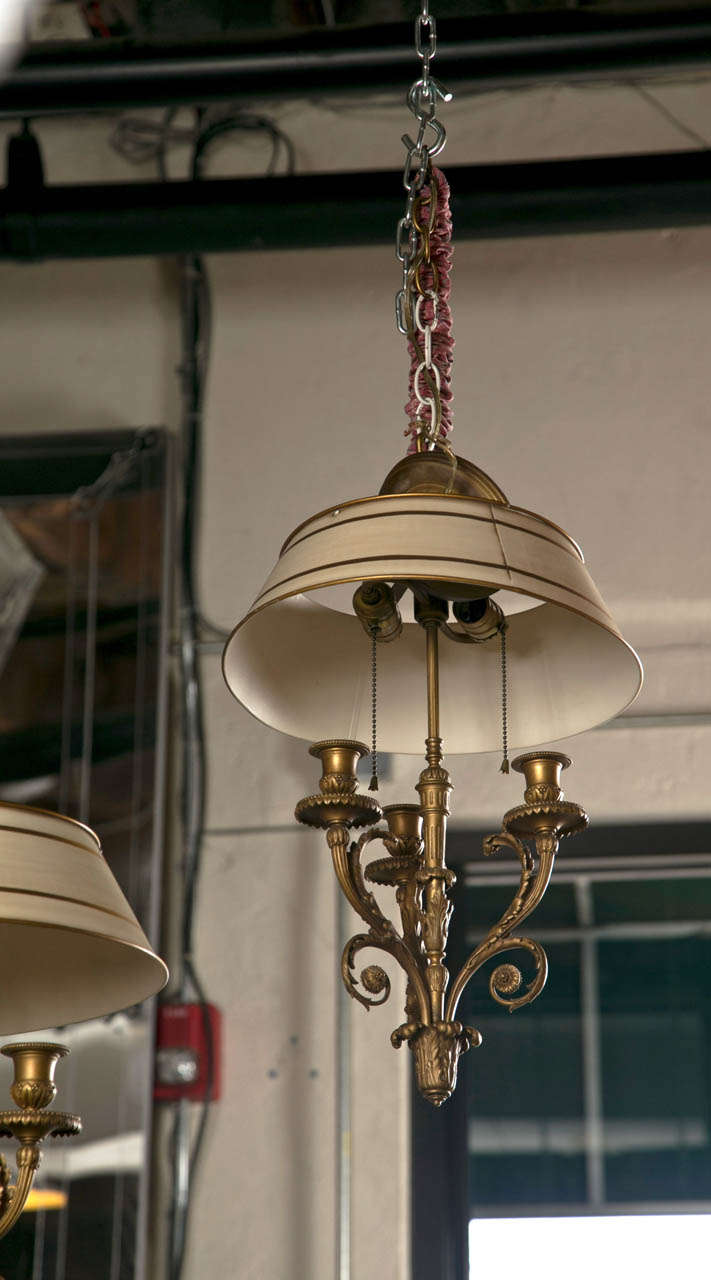 Pair of Finely Chased Bronze Doré Louis XV Style Chandeliers Three Candelabras For Sale 4