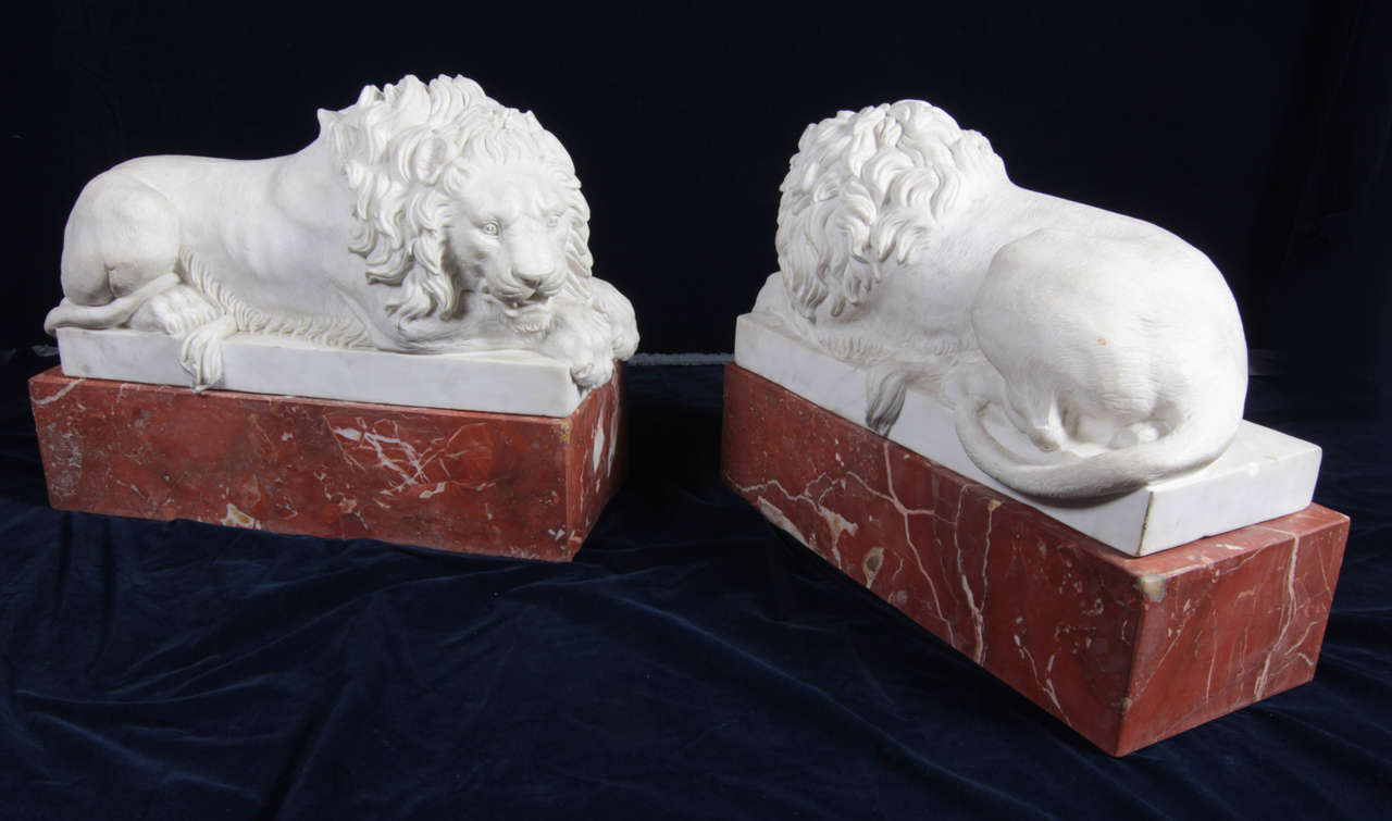 Paire de Lions couchés en marbre de Carrare sur des socles en marbre de Jaspe italien. Chaque lion a des traits différents et est posé d'une manière légèrement différente, ce qui crée une illusion très réaliste, fin 19e-début 20e siècle.