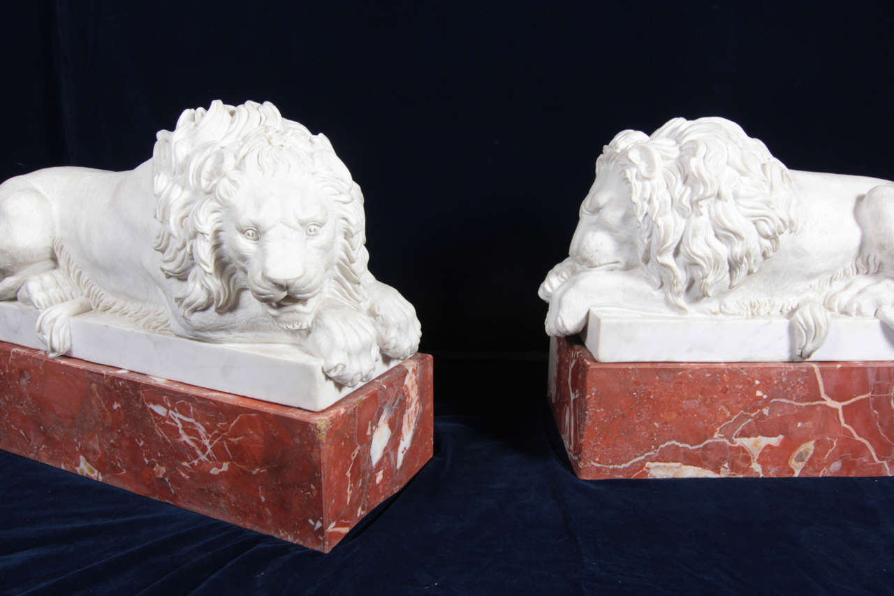 Italian Pair of Reclining Carrara Marble Lions on Jasper Marble Plinths, after Canova