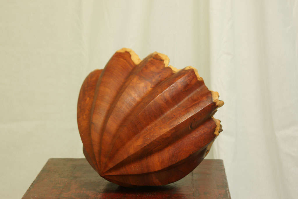 Mid Century Japanese Carved Brush Holder in Shell Form In Excellent Condition For Sale In East Hampton, NY