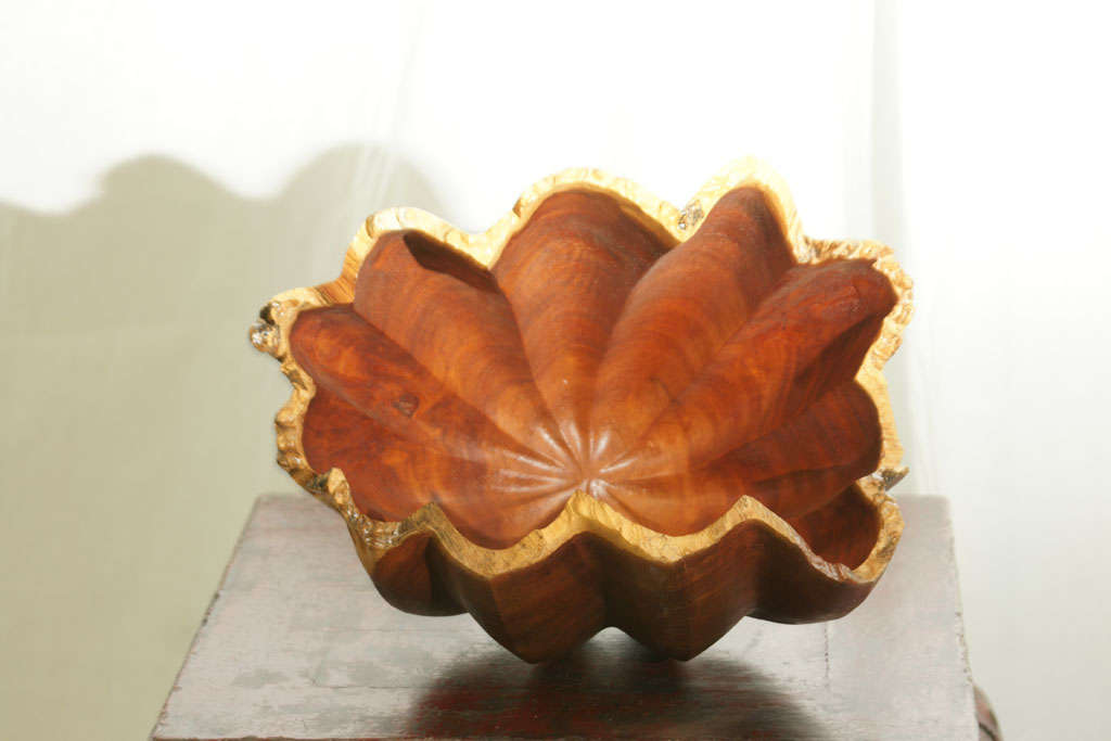 Mid Century Japanese Carved Brush Holder in Shell Form For Sale 1