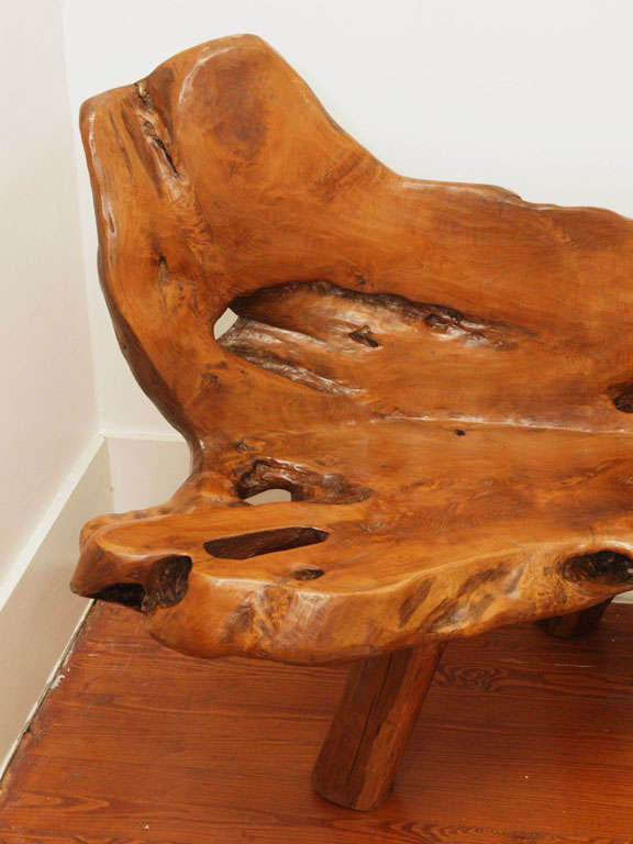 French Magnificent Nakashima Style Root Wood Bench