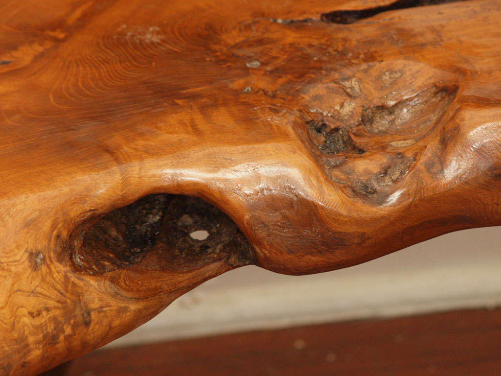 Magnificent Nakashima Style Root Wood Bench 3