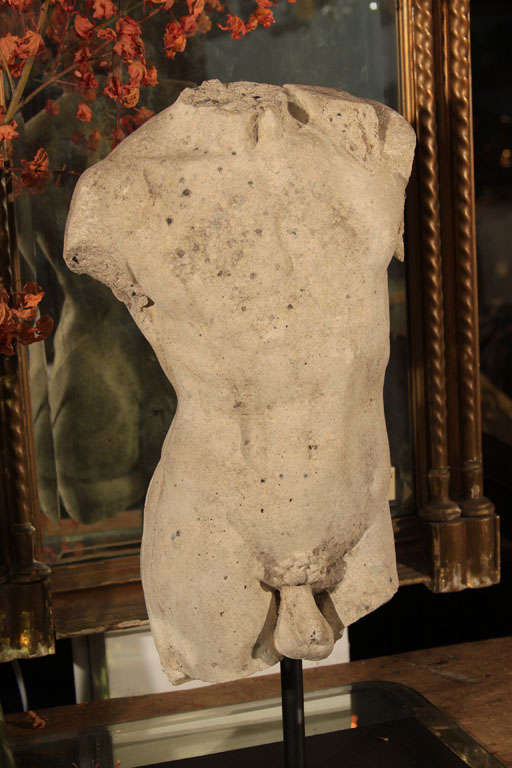 Male Torso Sculpture on Stand