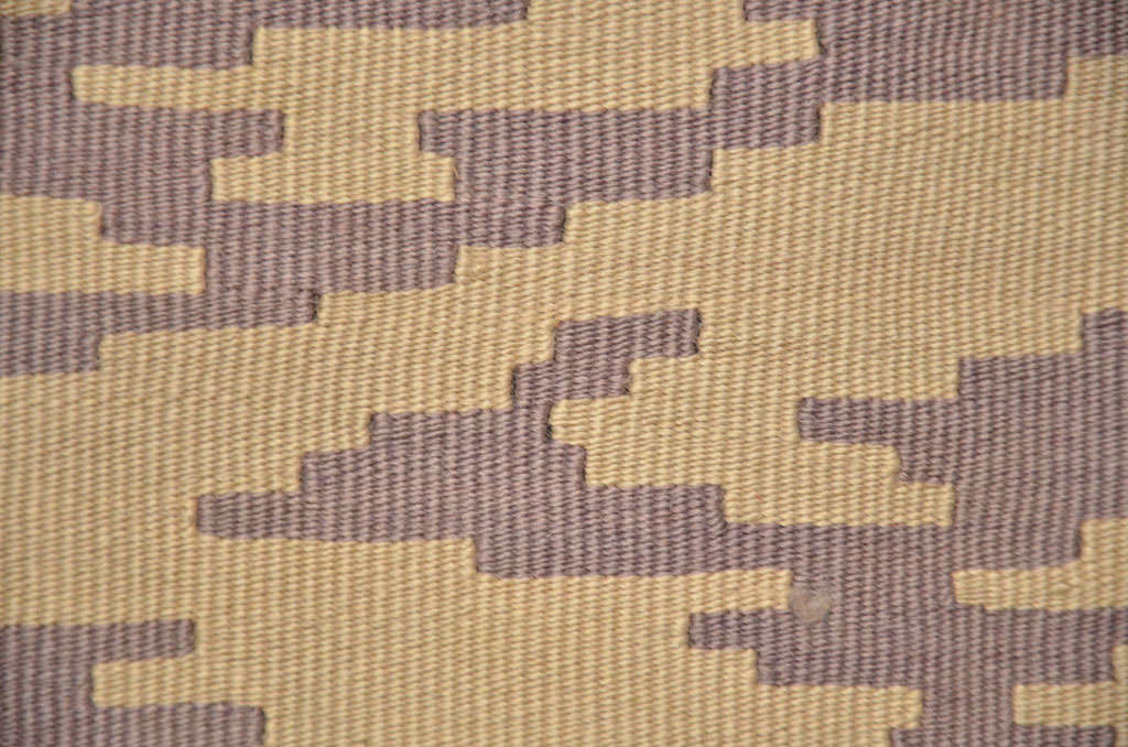 Mid-20th Century Vintage Mid-Century Modern Wool Kilim Rug with Tiger Pelt Pattern For Sale
