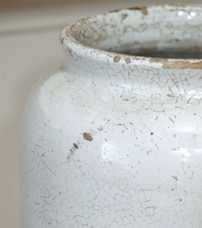 Large Blue and White Apothecary jar 2