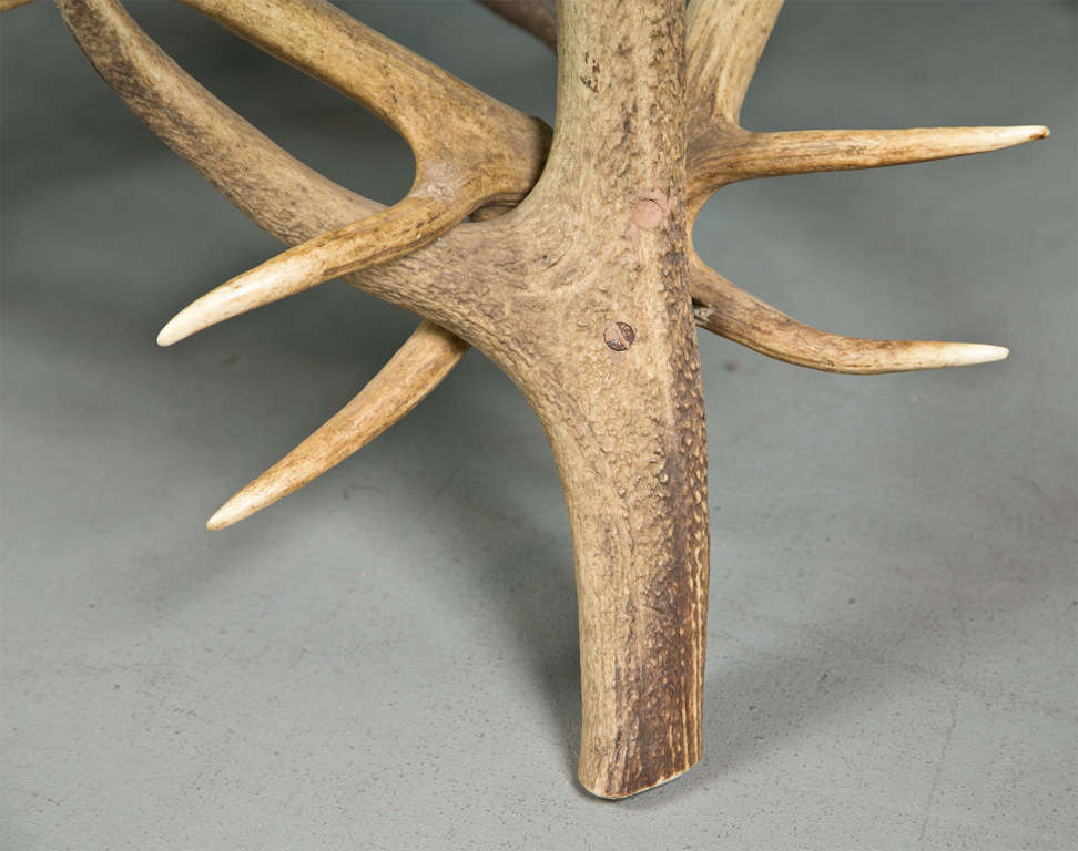 The call of the wild arives in this stylish coffee table, hand asembled antlers make this custom made coffee table a thing of beauty, paired with a clear plate glass top make it a show stopper for your home.