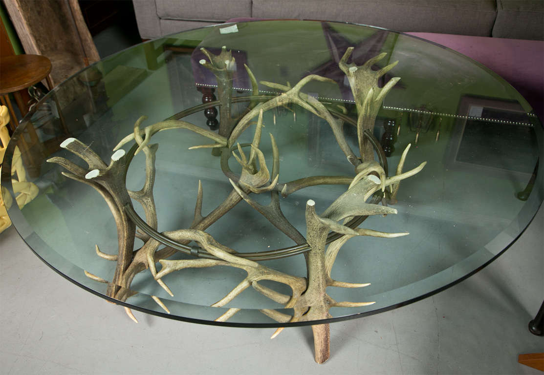 20th Century Antler Coffee Table For Sale