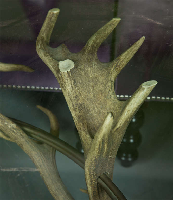 Antler Coffee Table For Sale 2