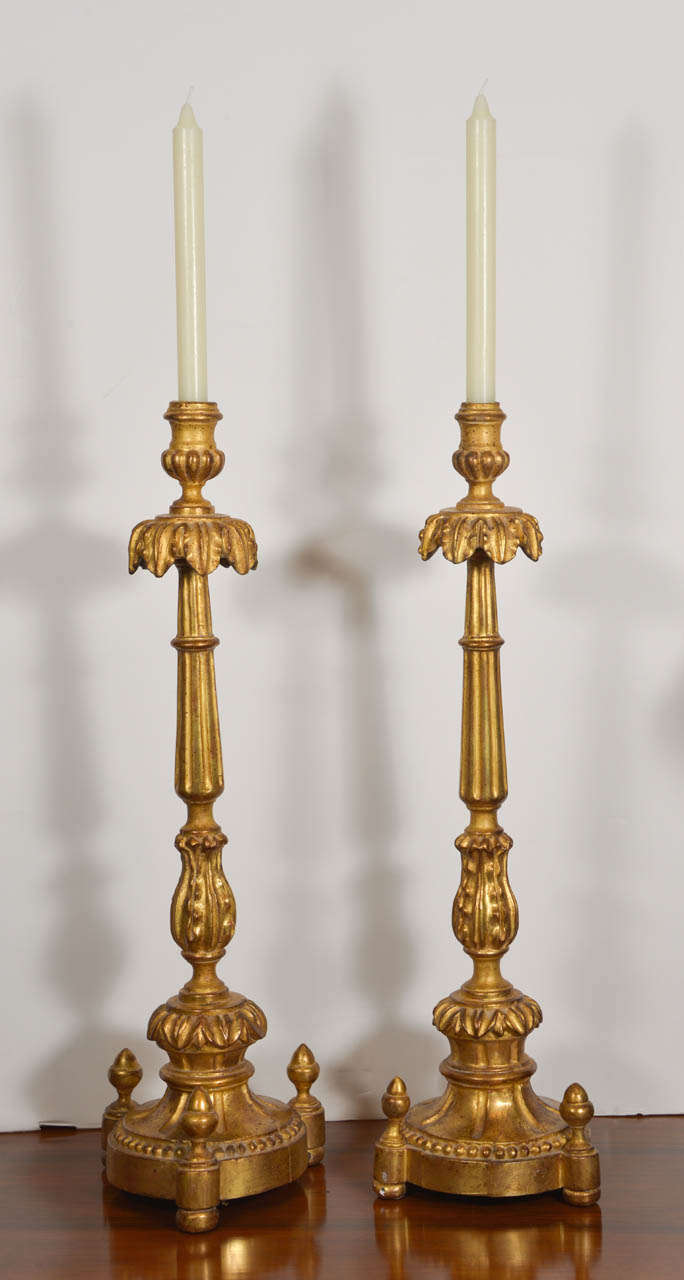 Pair of carved wood gilt candlesticks perfectly sized for tabletops, consoles, or a fireplace mantel. Holds standard sized taper candles. Height dimension is without candle.