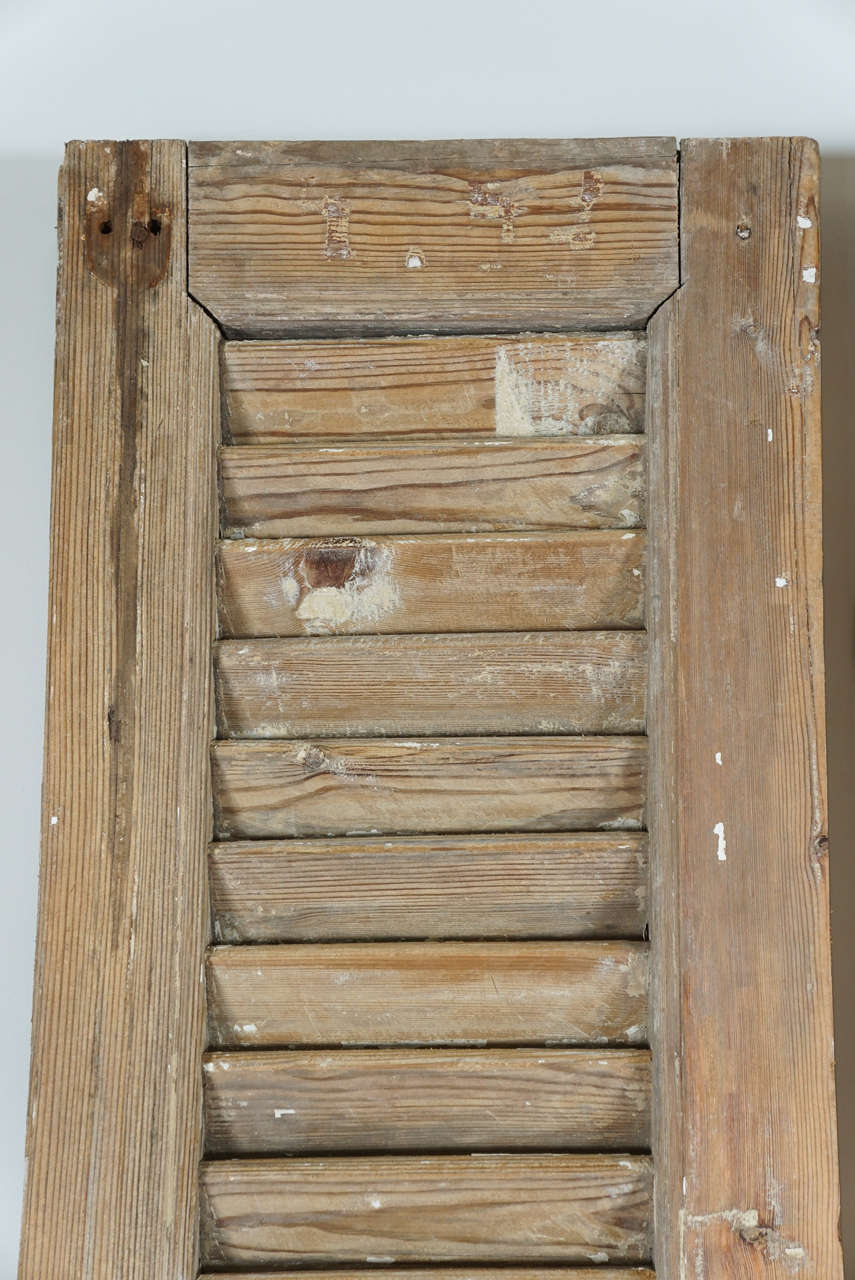 Napoleon III Vintage French Shutters