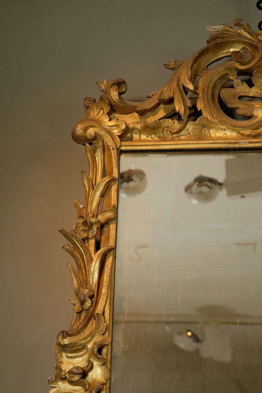 18th Century and Earlier Extremely Important Pair of Irish Carved Gilt Wood Rococo Mirrors