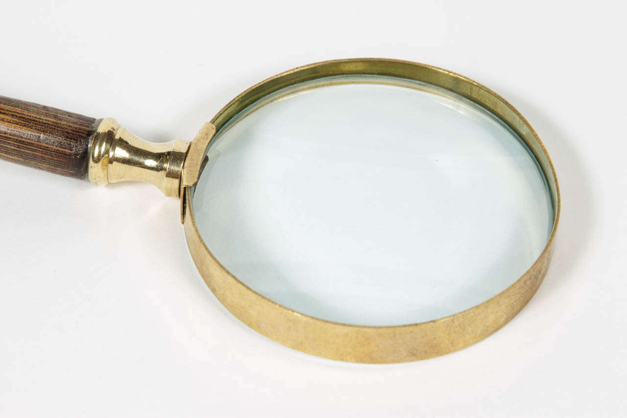 19th Century Magnifying Glass with Parasol Handle