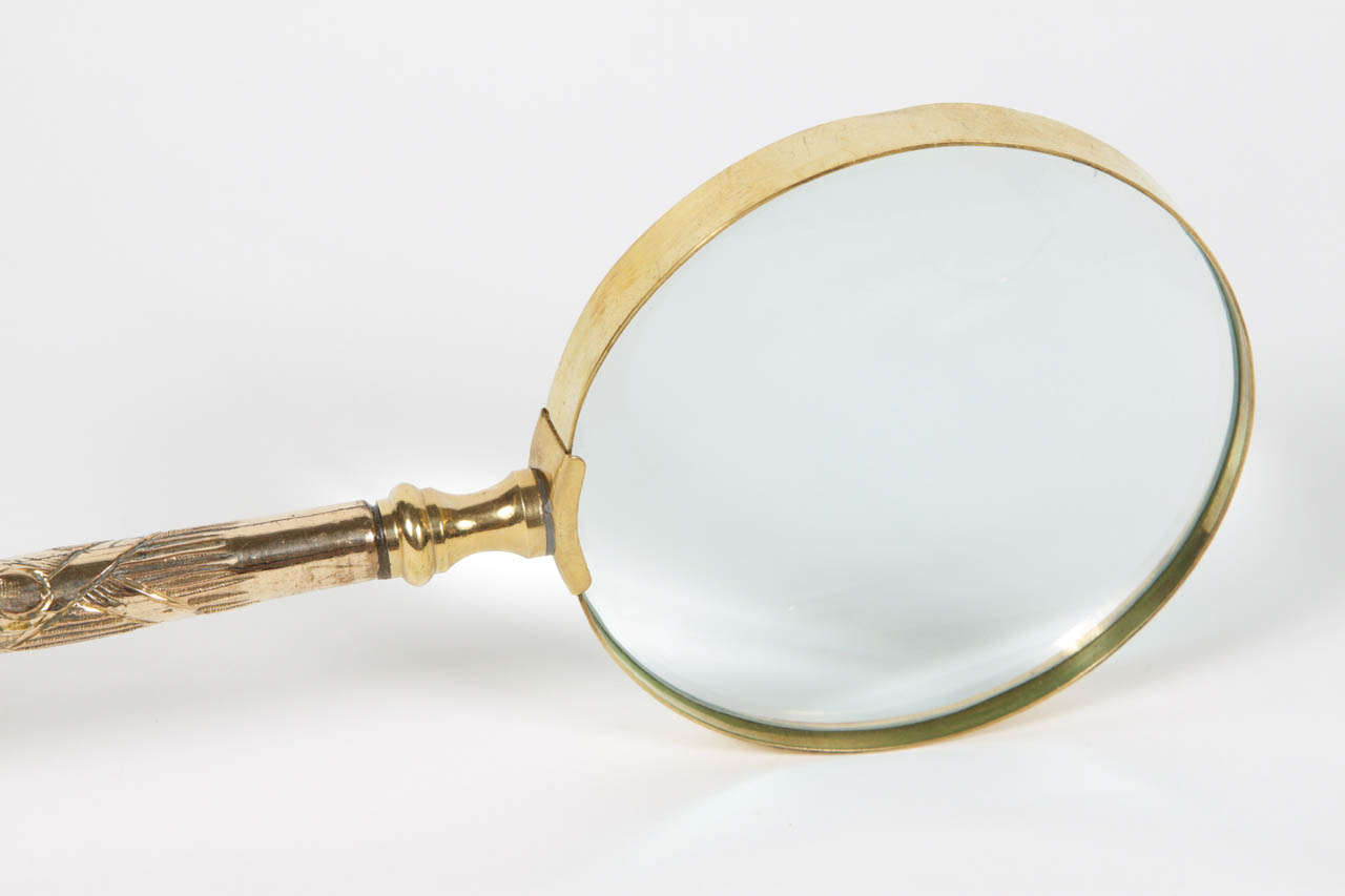 Magnifying Glass with Parasol Handle 4