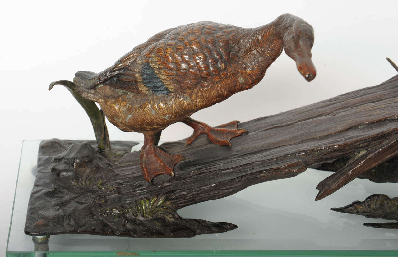 19th Century A large Vienna cold patinated bronze model of ducks, circa 1900