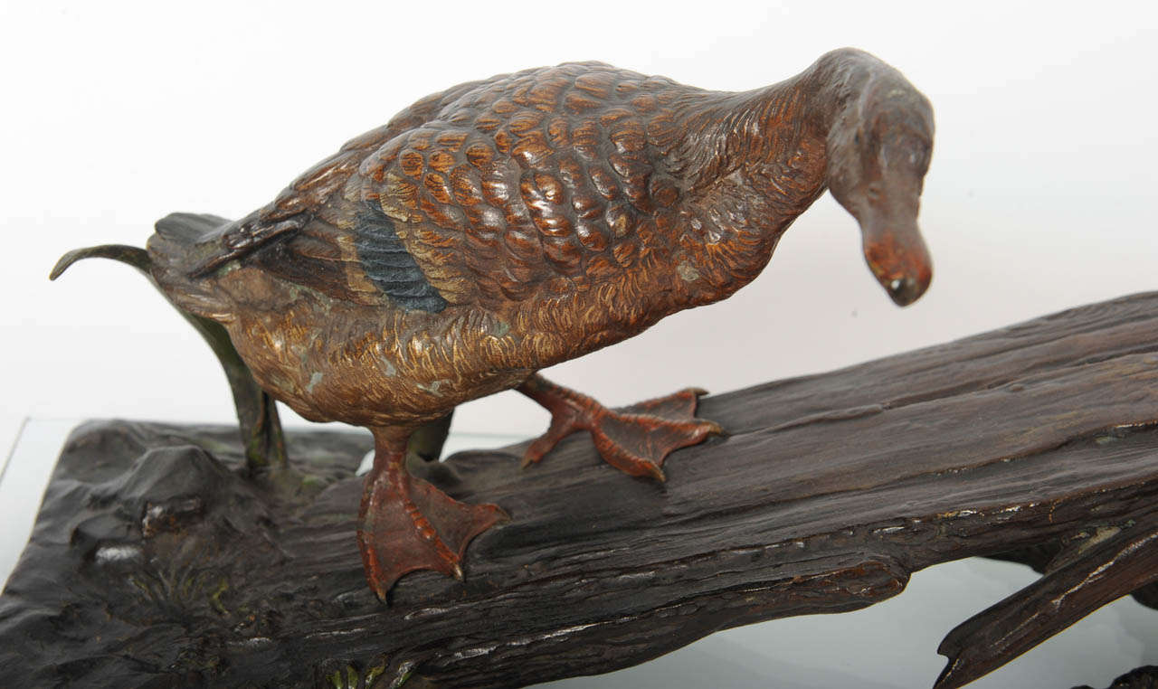 A large Vienna cold patinated bronze model of ducks, circa 1900 3