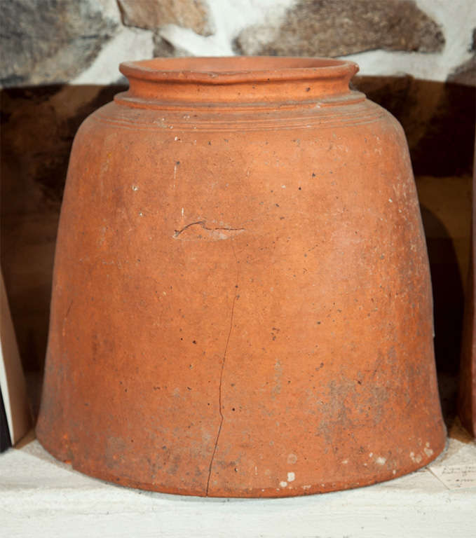 This charming and handmade terracotta pot was used to force kale. Although it has a crack, it is in very good condition otherwise with nice incised detail below the neck. These forcers are not only decorative in the potager, but extremely practical