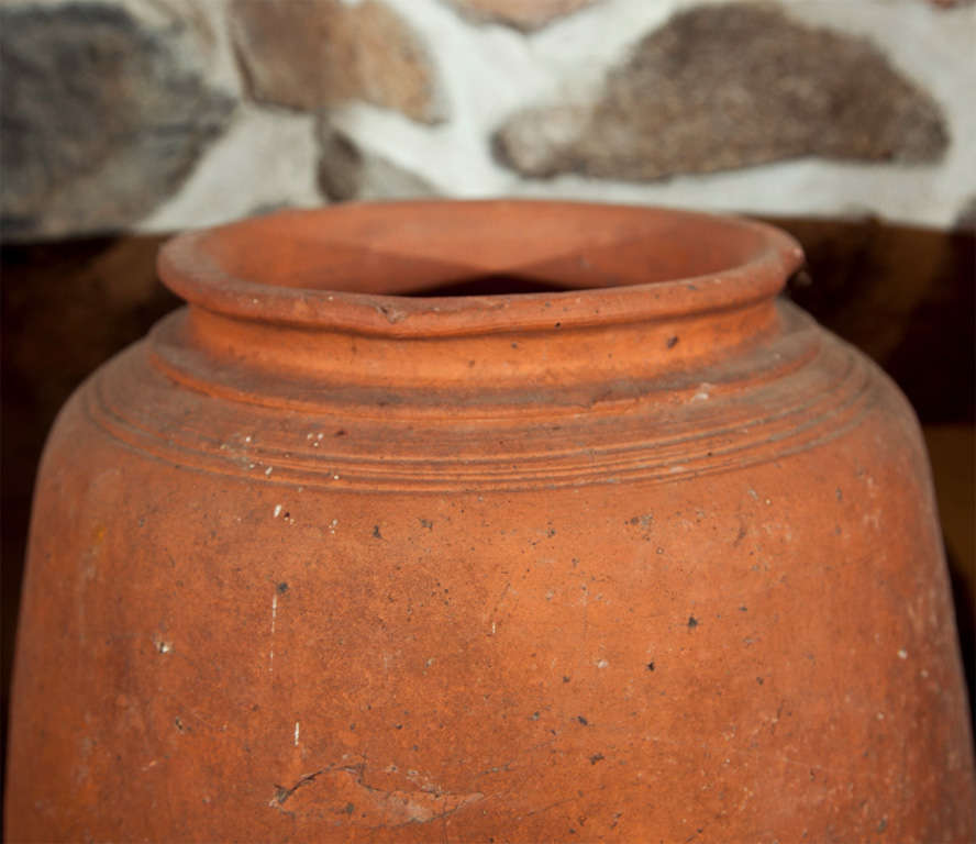 Hand-Crafted English Hand-Thrown Terracotta Kale Forcer