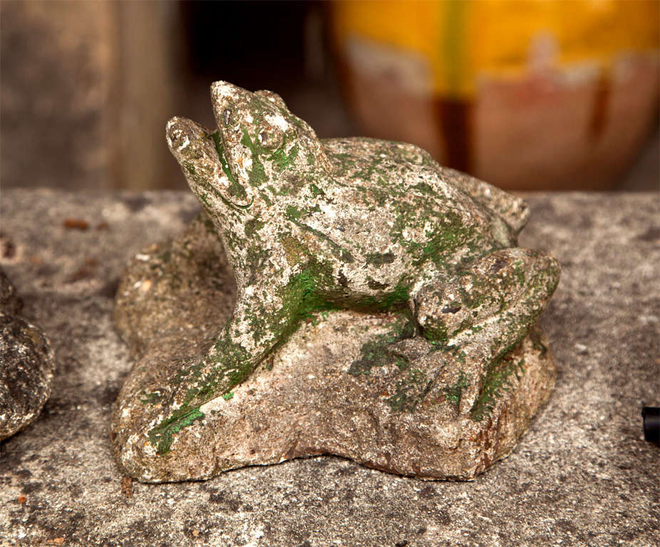 Group of Cast Stone English Frogs 5