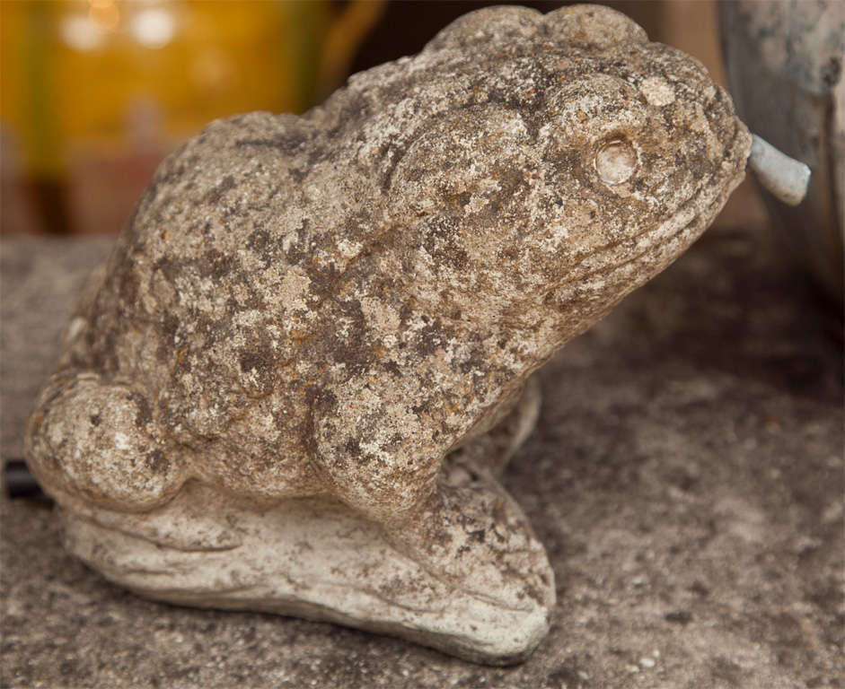 Group of Cast Stone English Frogs 6