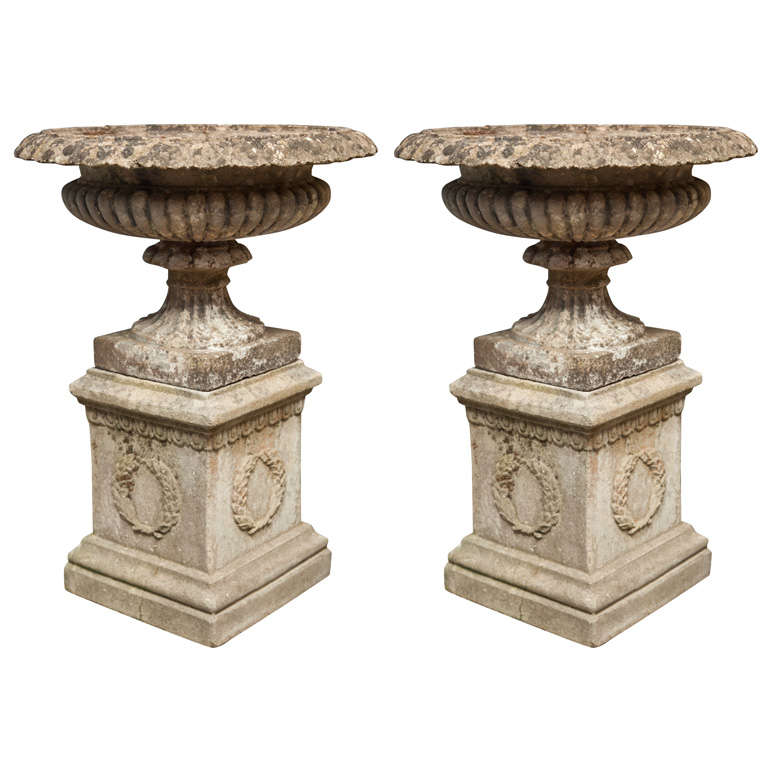 Pair of English Cast Stone Tazza Urns on Conforming Plinths