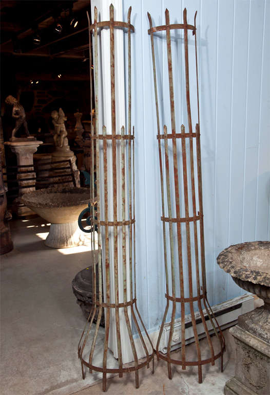 Old wrought iron tree guards such as this were once freely available, but not since people have started using them as trellises in their potagers.  This one is a beauty and in fabulous condition, with remnants of old robin's egg blue paint and the