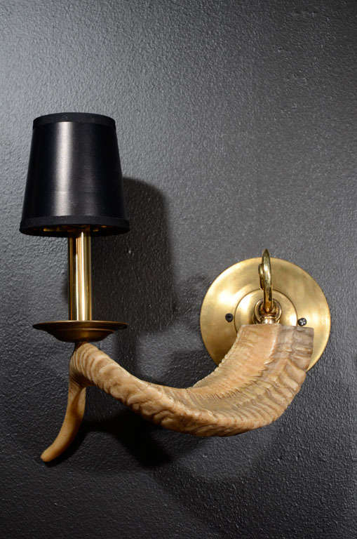 American Pair of Stylized Vintage Ram Horn Sconces
