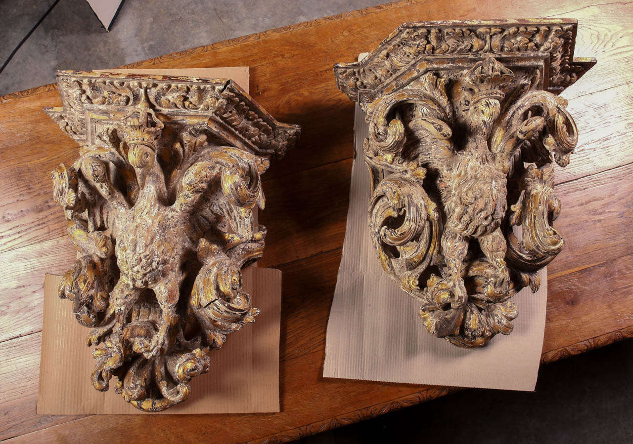 17th Century Polychromed Eagle Brackets from Portugal