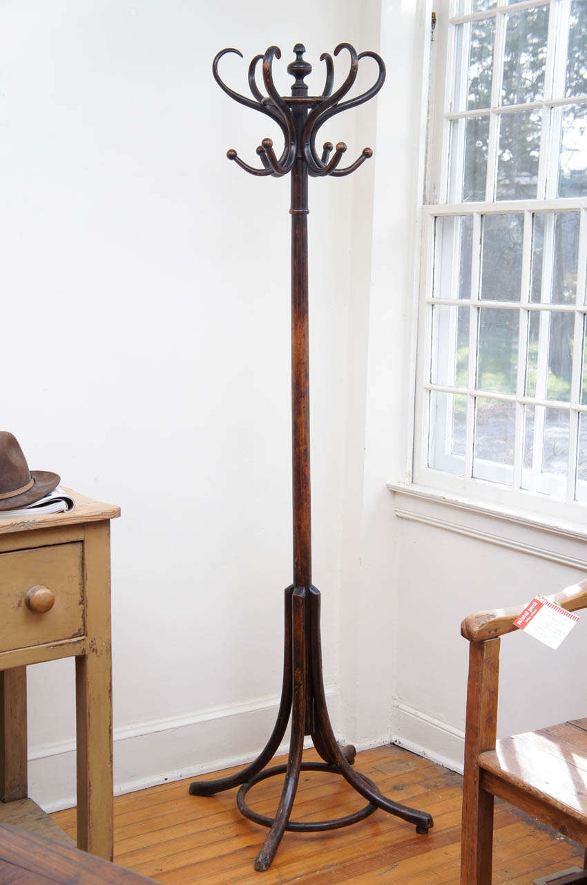 French Bentwood Thonet Style Hat And Coat Rack Or Hall Tree Circa Walnut Bentwood Coat Rack