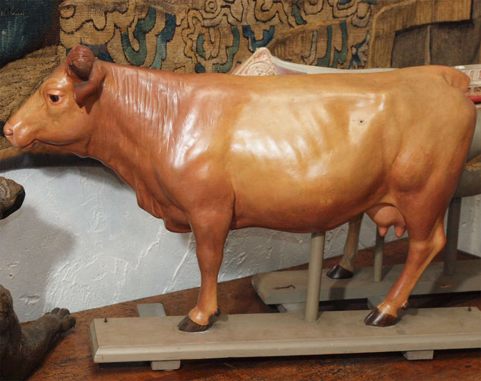 Anatomical model of a cow. The piece splits into two parts, revealing the inside of the cow. Organs, etc. are all numbered and can be removed. It stands on a wooden base with the makers original paper label. This model was made by the Somso Company