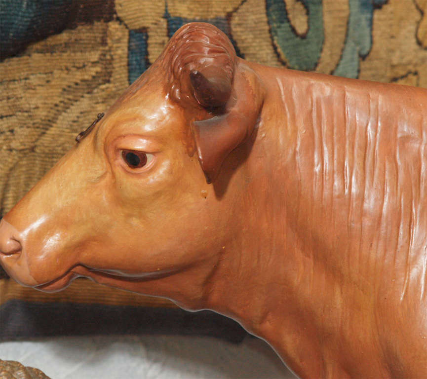 German Anatomical model of cow on a wooden base Somso Company For Sale