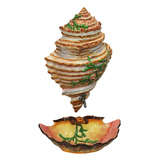French majolica shell form fontaine.