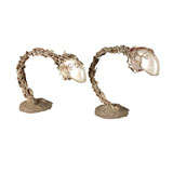 Pair of Silvered Bronze and Nautilius Shell Table Lamps