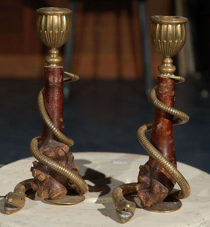 Pair of antique gnarled wood stem candlesticks with writhing brass snakes, 19th century.