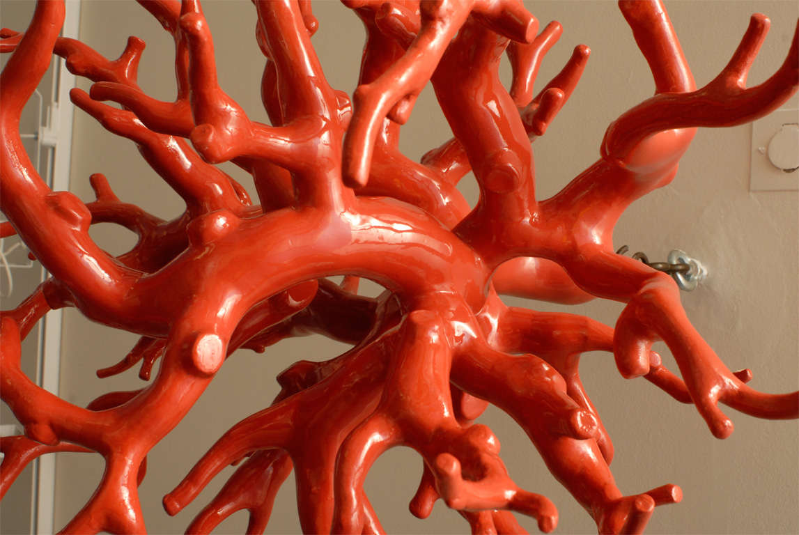 Italian Suspended Coral sculpture by Maurizio Epifani