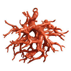 Suspended Coral sculpture by Maurizio Epifani